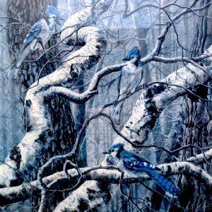 BLUE JAYS by Diane McConnell, 25"x25"