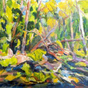 Forest Stream by George Paginton, 16"x20"